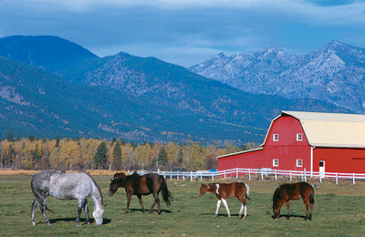 Montana Place Names: Victor, Montana