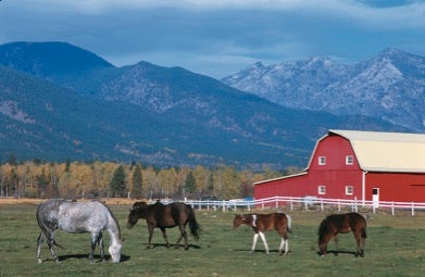 Celebrating Montana's farmers