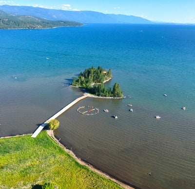 New app guides swimmers to best water