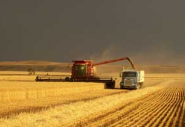 Montana crop seminars broadcast Jan. 6