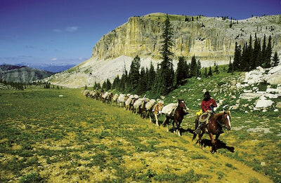 Summer in the High Country
