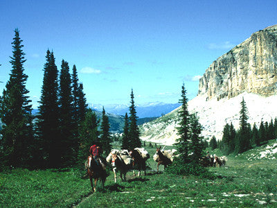 Summer in the Montana Wilderness