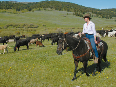 My Montana Farmer: Mannix family raising beef in Helmville, Montana