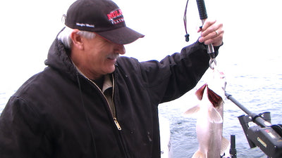 Flathead Lake Fishing Report April 2020