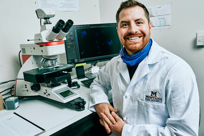 Life at the microbe level