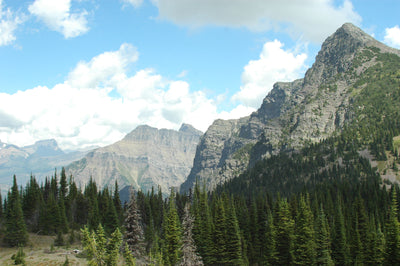 Montana Living TV: Modern-day Tom Sawyer