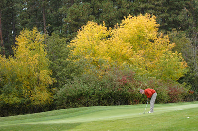 Great Golf Holes of Montana