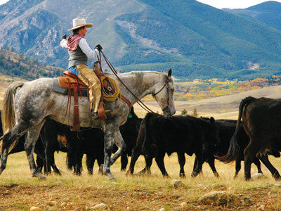 Ranchers urge de-listing of wolves for better local control