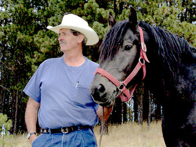 Breeding a Montana mountain horse