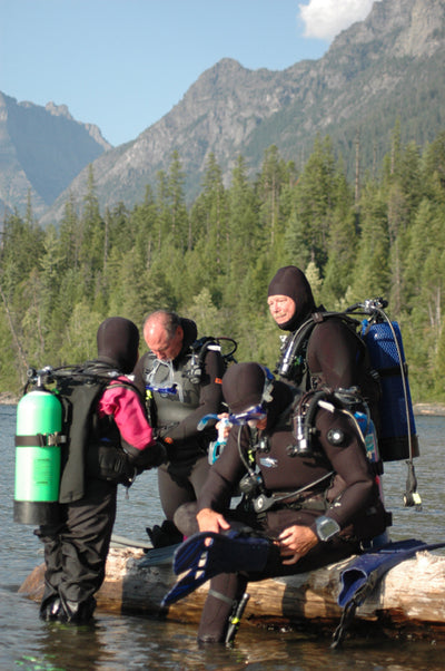 Lake McDonald's underwater forest