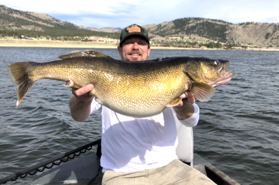 New Montana state record walleye caught