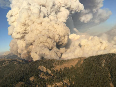 Forest Collaboration Network in Missoula Nov. 6-7
