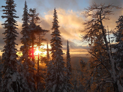 Wonderlust offers lifelong learning at MSU