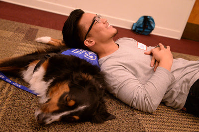 Good with dogs: benefits of pet therapy