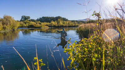 Upper Clark Fork: the seldom fished river