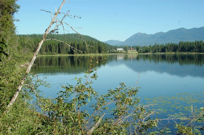 Building a pond for your Montana home