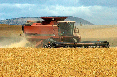 Montana farmers seek federal relief from failed trade policies