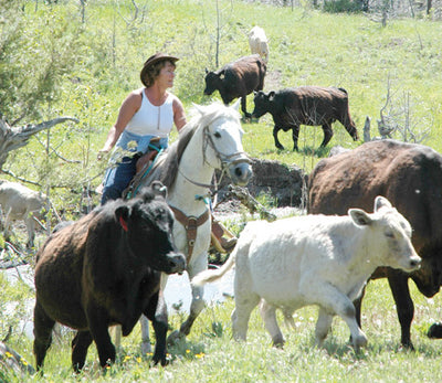 Montana Living TV: Born and Bread, the story of Wheat Montana